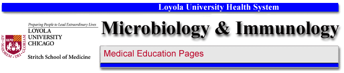 Microbiology & Immunology:&nbsp; Medical Education Pages.