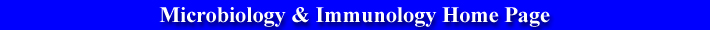 Microbiology & Immunology Home Page